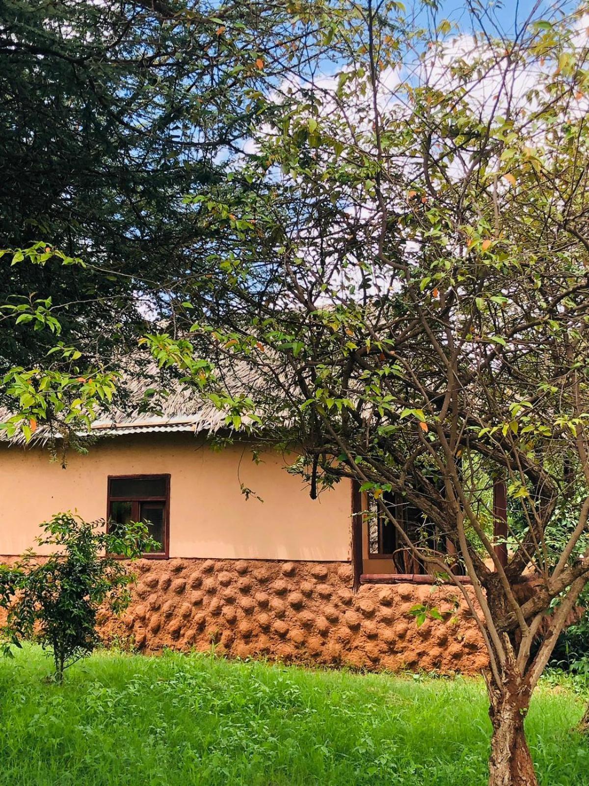 Teen Ranch Kenya 安博塞利 外观 照片