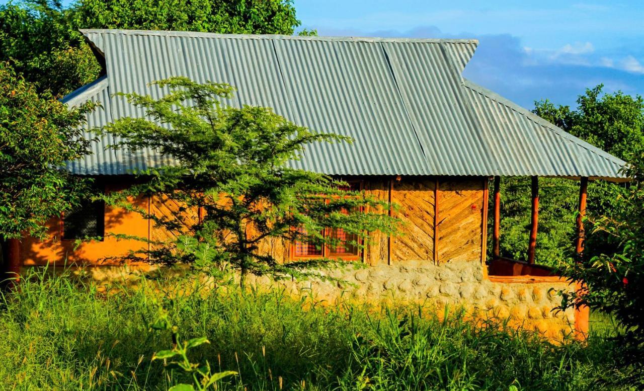 Teen Ranch Kenya 安博塞利 外观 照片